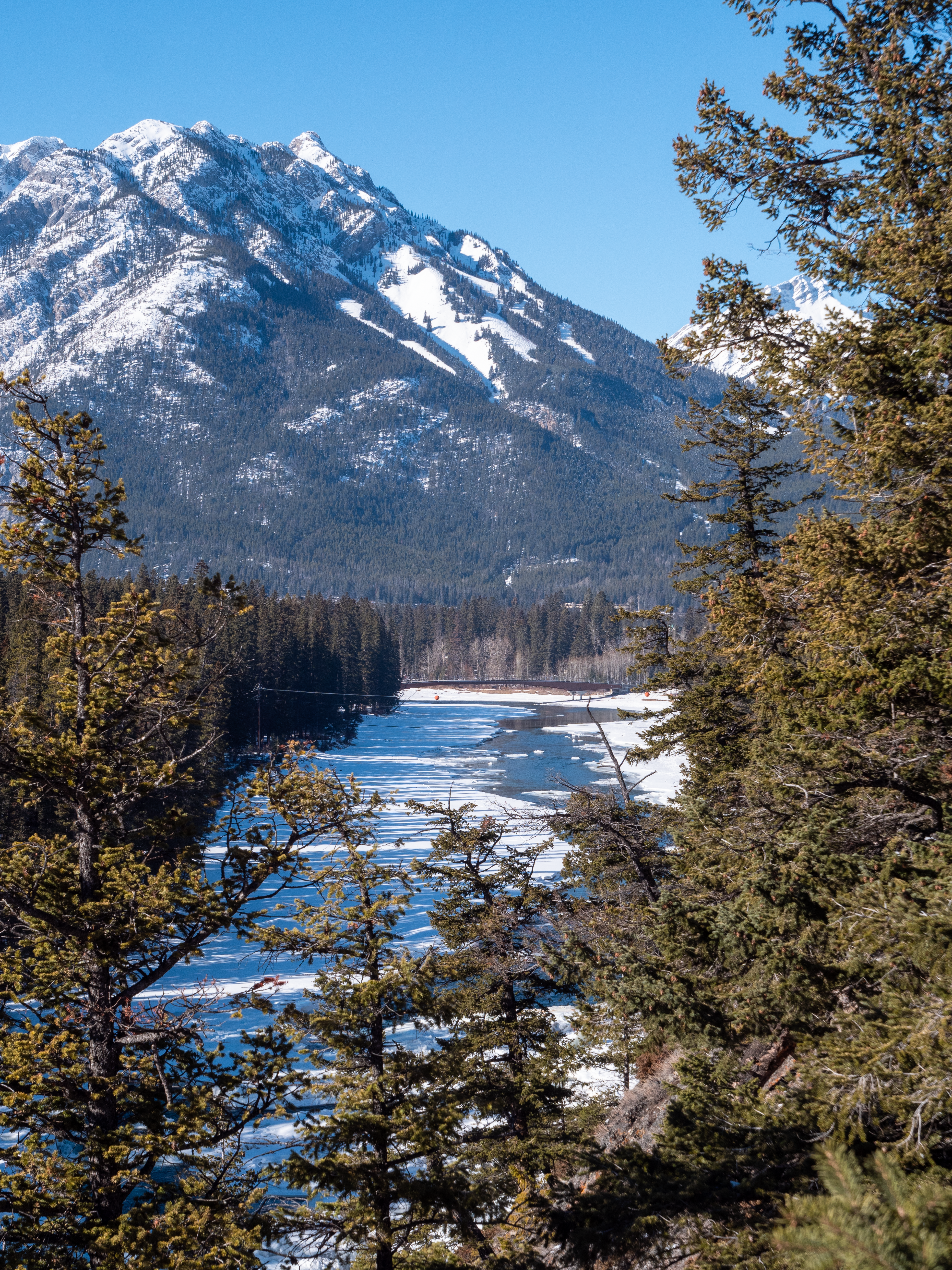 Banff Bridge at a distance Portrait